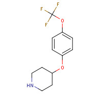 287952-67-4 4-[4-(Trifluoromethoxy)phenoxy]piperidine chemical structure
