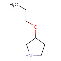 946681-61-4 3-Propoxypyrrolidine chemical structure