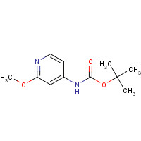 849353-31-7 (2-Methoxy-pyridin-4-yl)-carbamic acid tert-butyl ester chemical structure