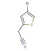 160005-43-6 4-Bromothiophene-2-acetonitrile chemical structure
