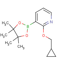 848243-26-5 2-Cyclopropylmethoxy-3-(4,4,5,5-tetramethyl-[1,3,2]dioxaborolan-2-yl)-pyridine chemical structure