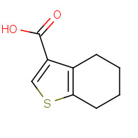 19156-54-8 4,5,6,7-Tetrahydro-1-benzothiophene-3-carboxylic acid chemical structure