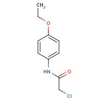 2153-08-4 2-Chloro-N-(4-ethoxyphenyl)acetamide chemical structure