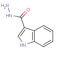 15317-58-5 1H-Indole-3-carbohydrazide chemical structure