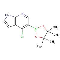 1072145-24-4 4-Chloro-5-(4,4,5,5-tetramethyl-1,3,2-dioxaborolan-2-yl)-1H-pyrrolo[2,3-b]pyridine chemical structure