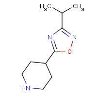 733748-92-0 4-(3-Isopropyl-1,2,4-oxadiazol-5-yl)piperidine chemical structure