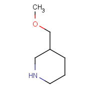 116574-72-2 3-Methoxymethyl-piperidine chemical structure