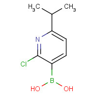 1003043-37-5 2-Chloro-6-isopropylpyridine-3-boronic acid chemical structure