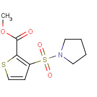 895261-88-8 Methyl 3-(pyrrolidin-1-ylsulfonyl)thiophene-2-carboxylate chemical structure