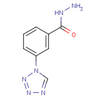 351994-81-5 3-(1H-Tetrazol-1-yl)benzohydrazide chemical structure