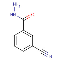19731-01-2 3-Cyanobenzohydrazide chemical structure
