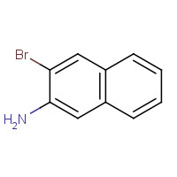 54245-33-9 2-Amino-3-bromonaphthalene chemical structure