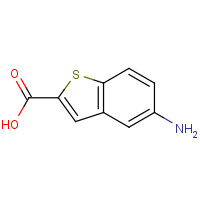 98589-46-9 5-Amino-1-benzothiophene-2-carboxylic acid chemical structure
