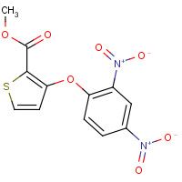 104636-76-2 Methyl 3-(2,4-dinitrophenoxy)-2-thiophenecarboxylate chemical structure