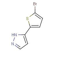 166196-67-4 5-(5-Bromo-2-thienyl)-1H-pyrazole chemical structure