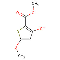 19813-55-9 Methyl 3-hydroxy-5-methoxy-2-thiophenecarboxylate chemical structure