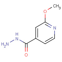 19353-97-0 2-Methoxyisonicotinohydrazide chemical structure