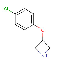 753445-45-3 3-(4-Chlorophenoxy)azetidine chemical structure
