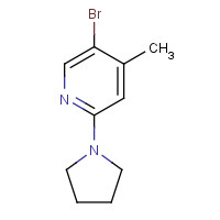 1187385-95-0 5-Bromo-4-methyl-2-(1-pyrrolidinyl)pyridine chemical structure