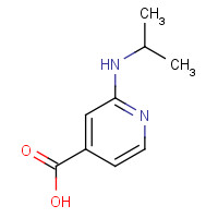 77314-51-3 2-(Isopropylamino)isonicotinic acid chemical structure