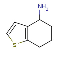 58094-17-0 4,5,6,7-Tetrahydro-1-benzothiophen-4-amine chemical structure