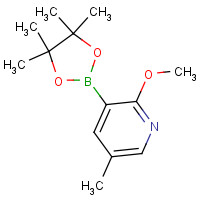 1083168-84-6 2-Methoxy-5-methyl-3-(4,4,5,5-tetramethyl-1,3,2-dioxaborolan-2-yl)pyridine chemical structure