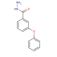 206761-84-4 3-Phenoxybenzhydrazide chemical structure