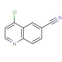 219763-83-4 4-Chloroquinoline-6-carbonitrile chemical structure