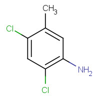 17601-75-1 2,4-Dichloro-5-methylaniline chemical structure