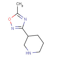895573-64-5 5-Methyl-3-(piperidin-3-yl)-1,2,4-oxadiazole chemical structure
