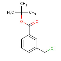 220510-74-7 3-Chloromethyl-benzoic acid tert-butyl ester chemical structure