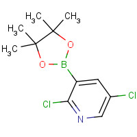 1073371-98-8 2,5-Dichloro-3-(4,4,5,5-tetramethyl-1,3,2-dioxaborolan-2-yl)pyridine chemical structure