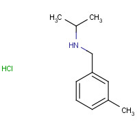 915922-51-9 N-(3-Methylbenzyl)propan-2-amine hydrochloride chemical structure