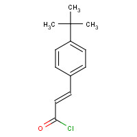 176690-89-4 (2E)-3-(4-tert-Butylphenyl)acryloyl chloride chemical structure