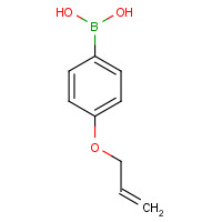 1117776-68-7 [4-(Allyloxy)phenyl]boronic acid chemical structure