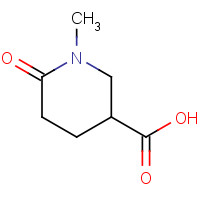 22540-51-8 1-Methyl-6-oxopiperidine-3-carboxylic acid chemical structure