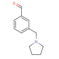 884507-42-0 3-(Pyrrolidin-1-ylmethyl)benzaldehyde chemical structure