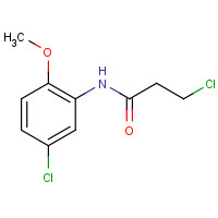 346726-62-3 3-Chloro-N-(5-chloro-2-methoxyphenyl)propanamide chemical structure