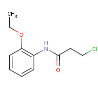 334504-88-0 3-Chloro-N-(2-ethoxyphenyl)propanamide chemical structure