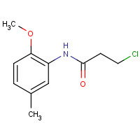 349122-20-9 3-Chloro-N-(2-methoxy-5-methylphenyl)propanamide chemical structure