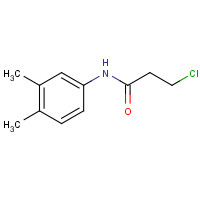 5446-25-3 3-Chloro-N-(3,4-dimethylphenyl)propanamide chemical structure