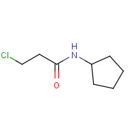 349403-75-4 3-Chloro-N-cyclopentylpropanamide chemical structure