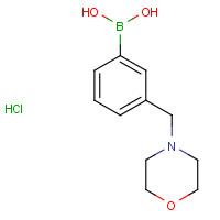 397843-58-2 [3-(Morpholin-4-ylmethyl)phenyl]boronic acid hydrochloride chemical structure