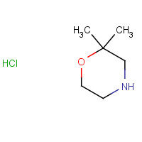 167946-94-3 2,2-Dimethylmorpholine hydrochloride chemical structure