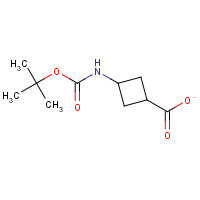 1008773-79-2 cis-3-(tert-Butoxycarbonylamino)cyclobutanecarboxylic acid chemical structure
