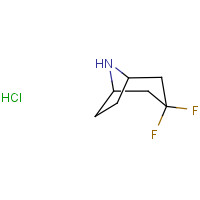 1234616-11-5 3,3-Difluoro-8-azabicyclo[3.2.1]octane hydrochloride chemical structure