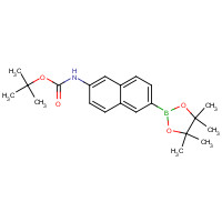 1312611-41-8 tert-Butyl 6-(4,4,5,5-tetramethyl-1,3,2-dioxaborolan-2-yl)-naphthalen-2-ylcarbamate chemical structure