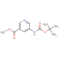 168618-38-0 Methyl 5-(tert-butoxycarbonylamino)nicotinate chemical structure