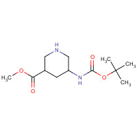903094-67-7 Methyl 5-(tert-butoxycarbonylamino)-piperidine-3-carboxylate chemical structure