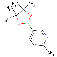 610768-32-6 2-Picoline-5-boronic acid pinacol ester chemical structure